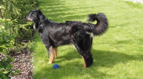 C:\Users\właściciel\Pictures\czerwiec 2011\_DSC2946.JPG